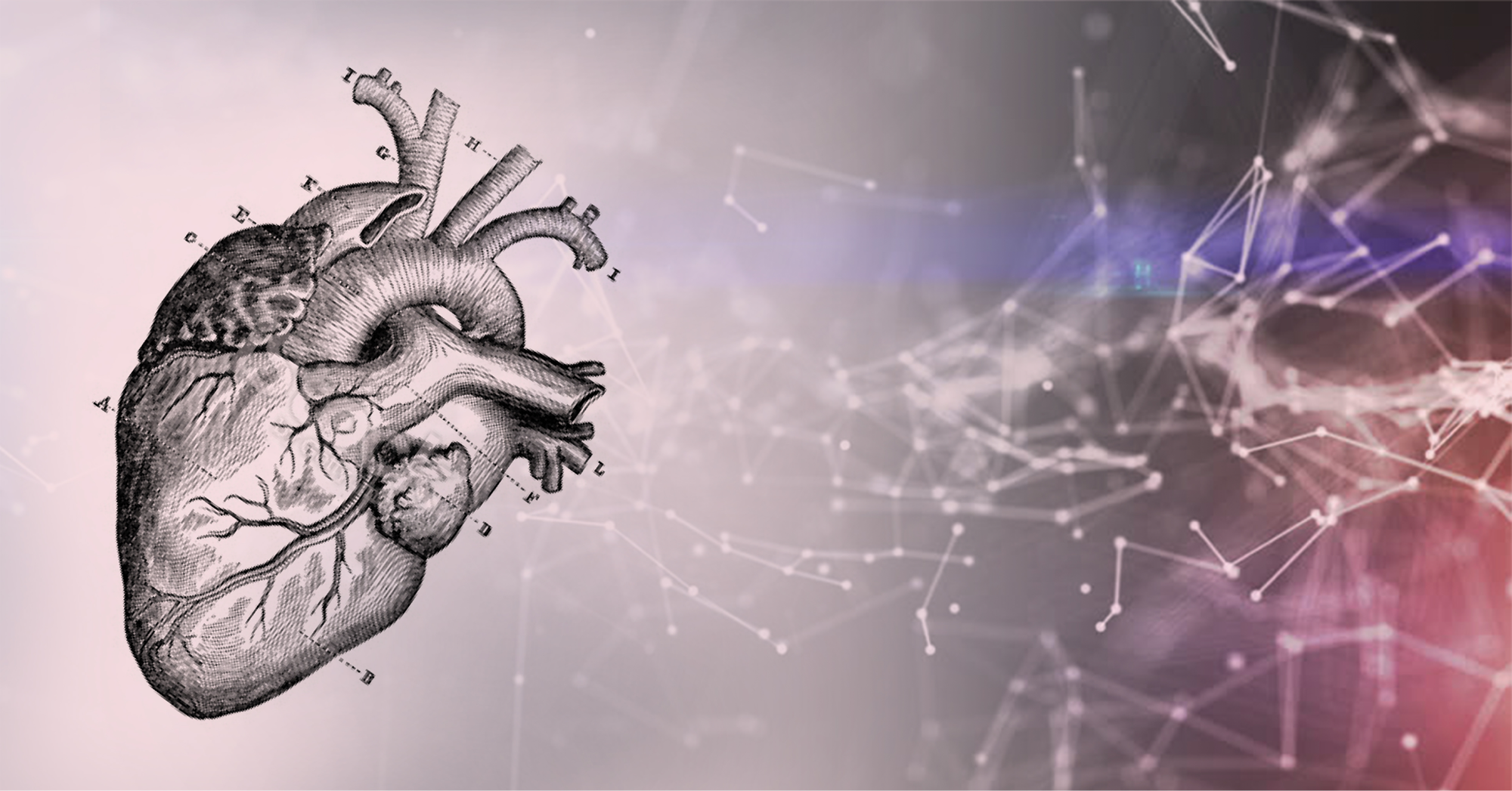 Our EchoMD AutoEF software receives FDA clearance for fully automated AI echocardiogram analysis
